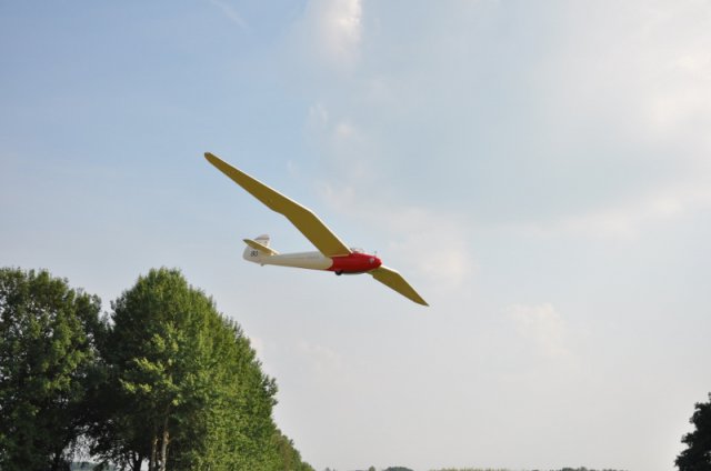 DSC_5640 (800x531)